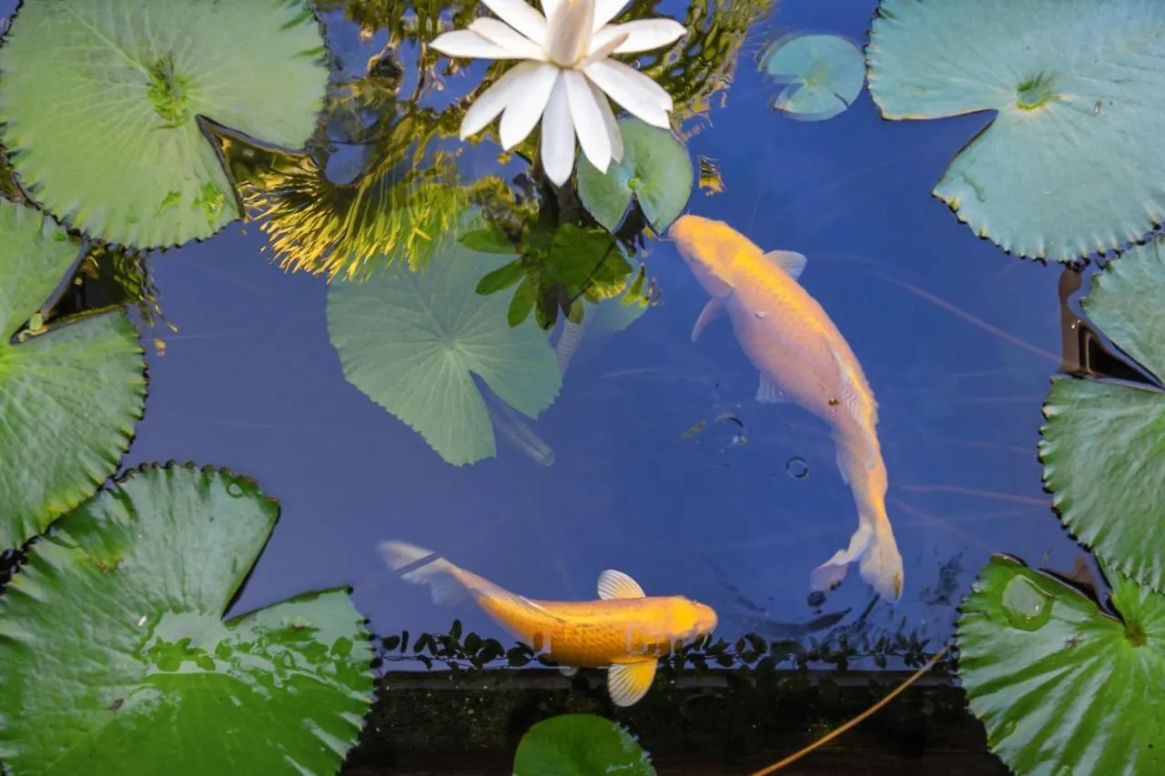 Villa Manuiti, Balinese Luxury Home - Private Swim Spa, Ocean View - Ofyr Bbq - Koi Pond Punaauia